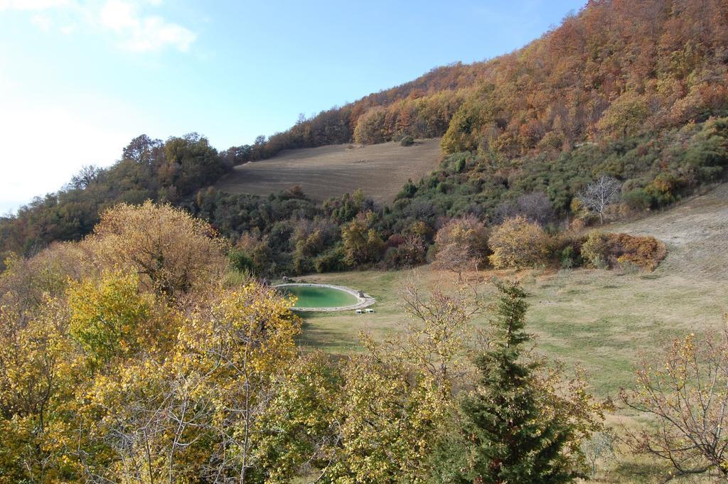 Agriturismo Paradiso41 Assisi Exterior photo